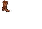 Cowboy Boot